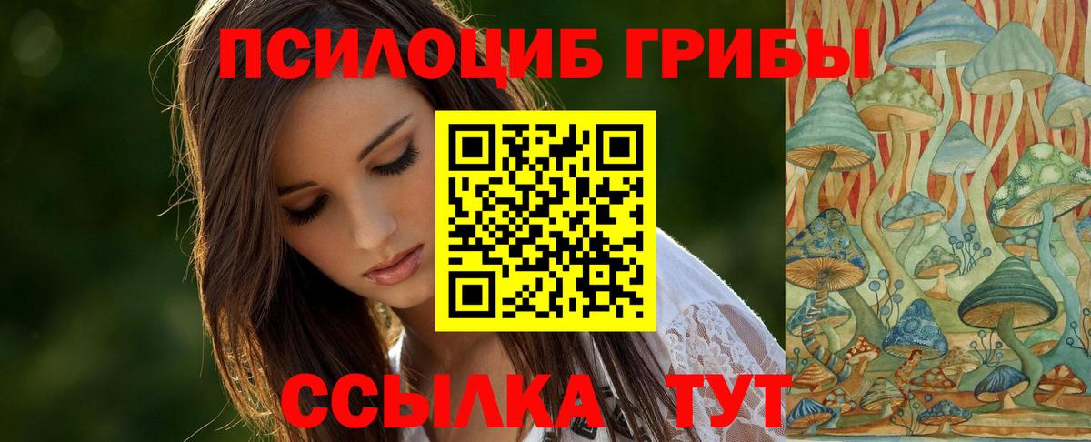 Галлюциногенные грибы Psilocybe  Вход с VPN  Волжск 